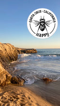 Load image into Gallery viewer, Bee Happy in Santa Cruz Sticker